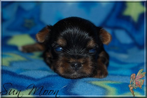 Photos de bébés
